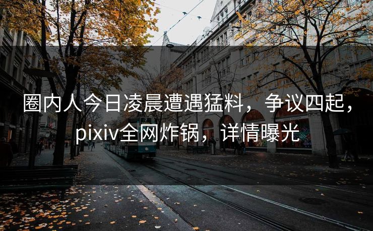 圈内人今日凌晨遭遇猛料，争议四起，pixiv全网炸锅，详情曝光
