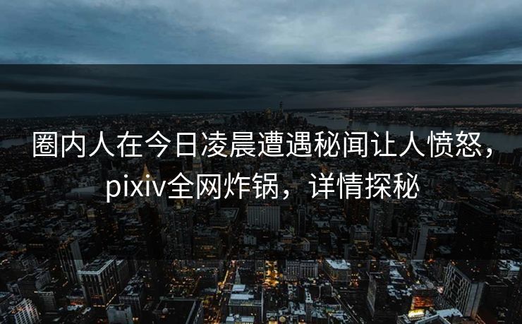 圈内人在今日凌晨遭遇秘闻让人愤怒,pixiv全网炸锅,详情探秘