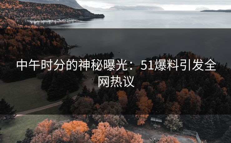 中午时分的神秘曝光:51爆料引发全网热议