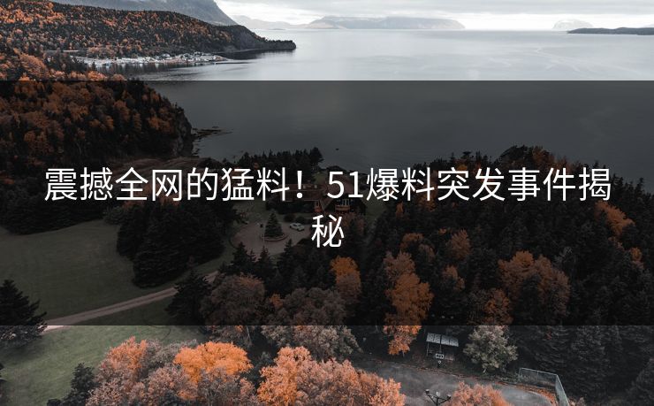 震撼全网的猛料!51爆料突发事件揭秘