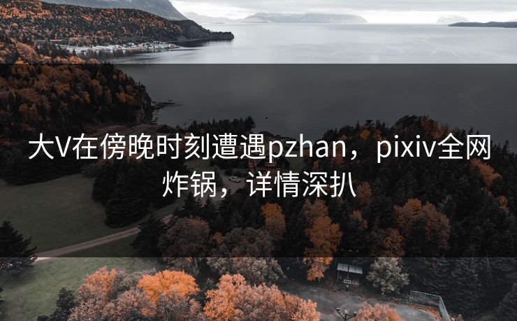 大V在傍晚时刻遭遇pzhan,pixiv全网炸锅,详情深扒