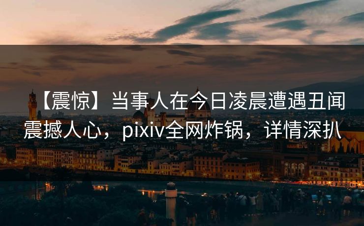 【震惊】当事人在今日凌晨遭遇丑闻震撼人心,pixiv全网炸锅,详情深扒