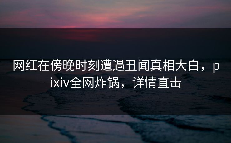 网红在傍晚时刻遭遇丑闻真相大白,pixiv全网炸锅,详情直击
