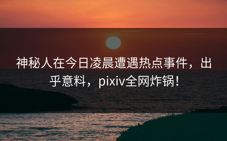 神秘人在今日凌晨遭遇热点事件,出乎意料,pixiv全网炸锅!