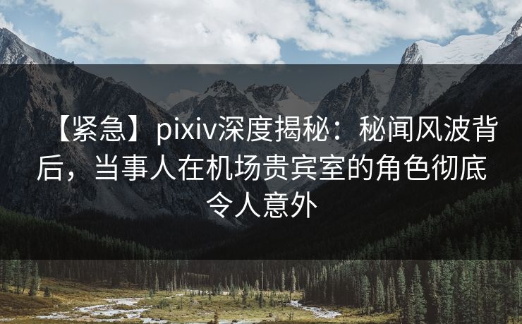 【紧急】pixiv深度揭秘:秘闻风波背后,当事人在机场贵宾室的角色彻底令人意外