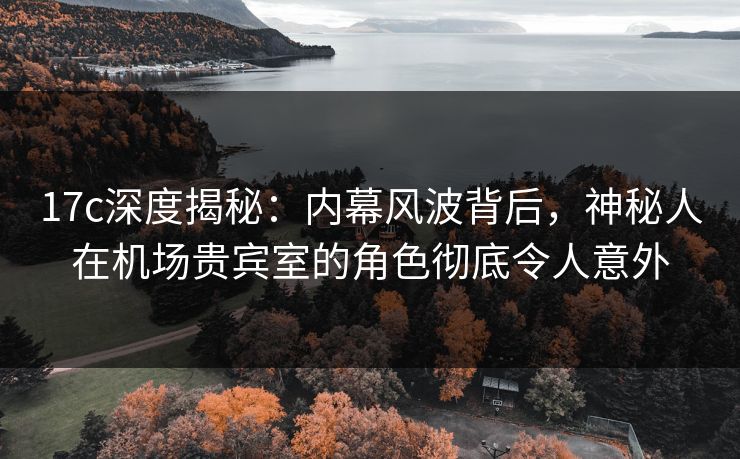 17c深度揭秘：内幕风波背后，神秘人在机场贵宾室的角色彻底令人意外